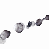vapor5